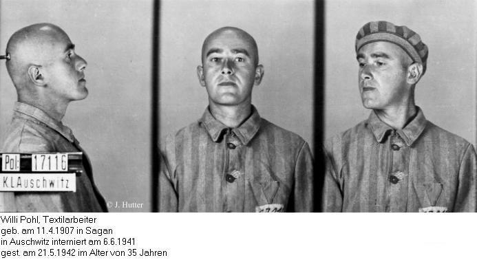 Pink Triangle Prisoner from Auschwitz Concentration Camp: Willi Pohl